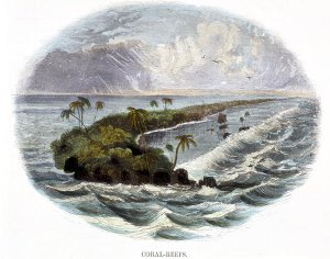 The Beaver, educational illustration pub. by the Society for Promoting Christian Knowledge, 1843