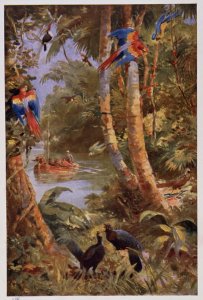 A Berber of Southern Tunis