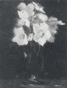 Girl In White In The Woods